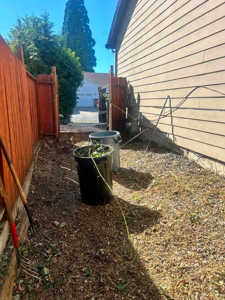 After: the same side yard cleared down to bare ground with debris hauled away