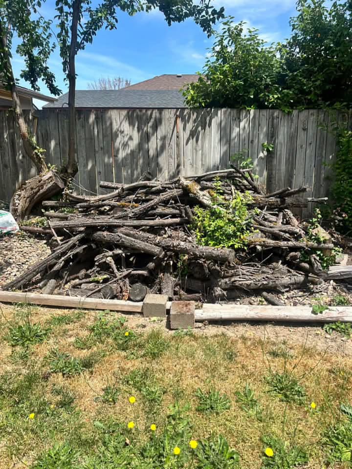 Pile of logs, branches and old wood stacked against a backyard fence