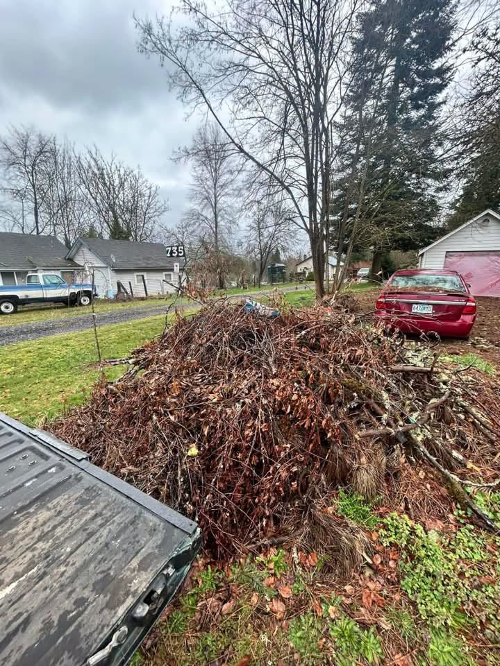Large pile of cut branches and brush in a front yard before cleanup
